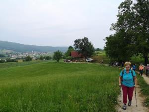 8. Iz Češenc proti Velikemu Kalu, v ozadju Mirna Peč.
